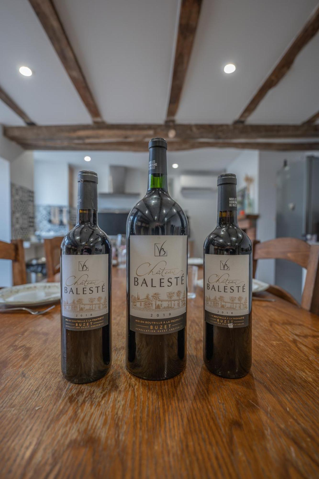 Chateau Baleste - Logement 2 Montesquieu  Dış mekan fotoğraf